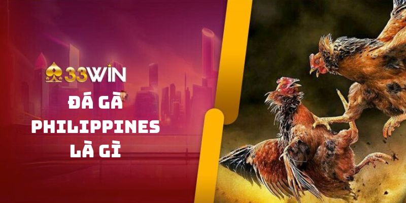 Định nghĩa đá gà Philippines là gì